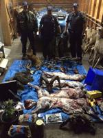 Arrest made in poaching case