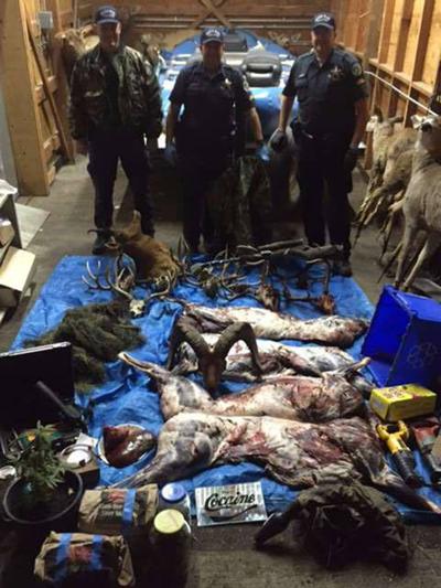 Arrest made in poaching case