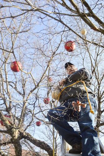 KAL season of light (2).JPG