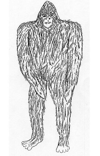 What lives in the Woods?