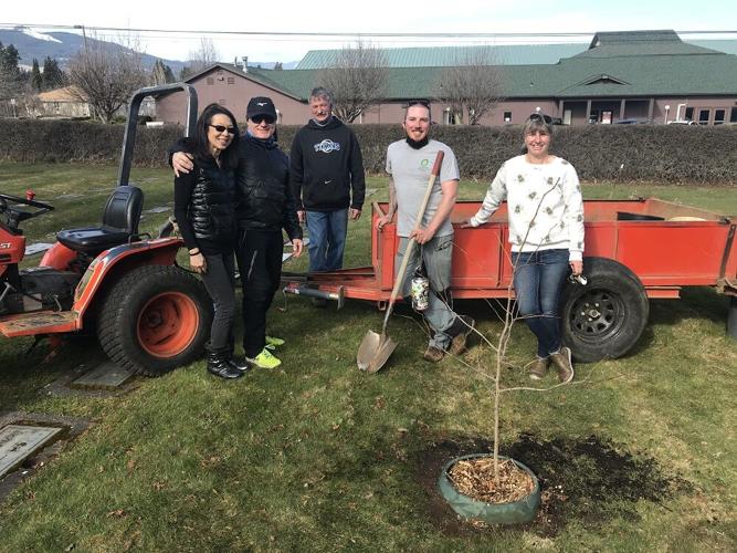 peace treess, group.JPG