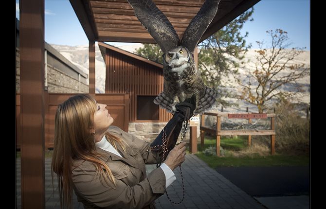 New space for birds of prey, visitors