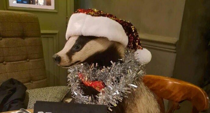 Police are investigating the theft of a stuffed badger from a Lake District bar.