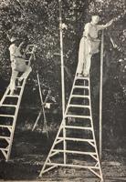 Yesteryears: Hukari ‘Spray Gun’ factory opens in 1939