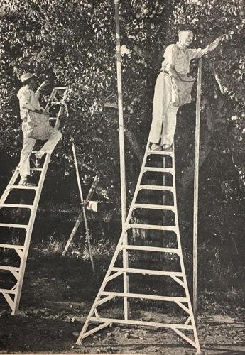 B2 Yesteryears Sept 4 1969.jpg