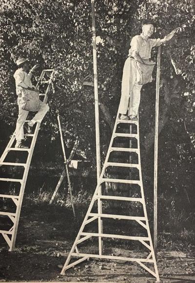 B2 Yesteryears Sept 4 1969.jpg