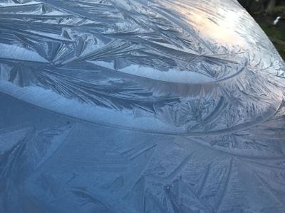 A1 weather, feather in frost.JPG