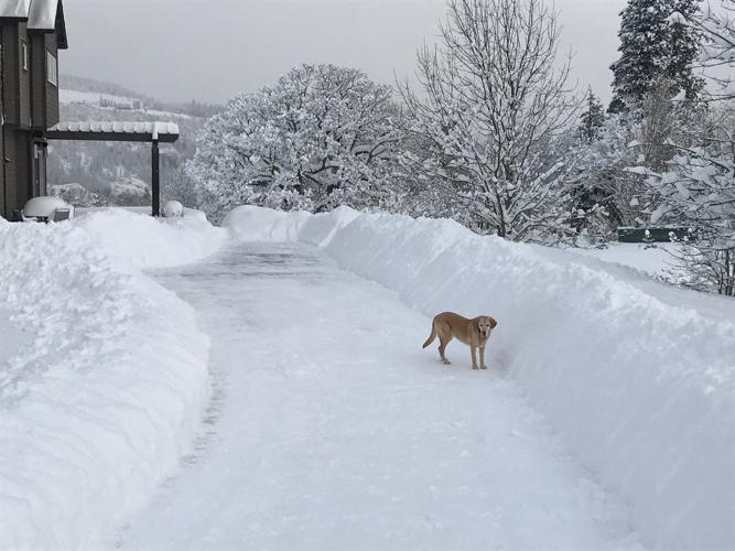 Readers’ photos say, ‘Happy mid-winter, wherever you are!’