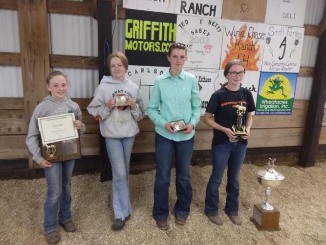 Sat awards horse.jpg