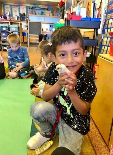 Butterfly + Chicks Young Voices 2.jpg