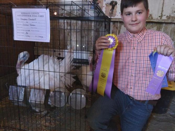 Thursday Gr Ch and Res Gr Ch Market Poultry Stephen Orendorff.jpg