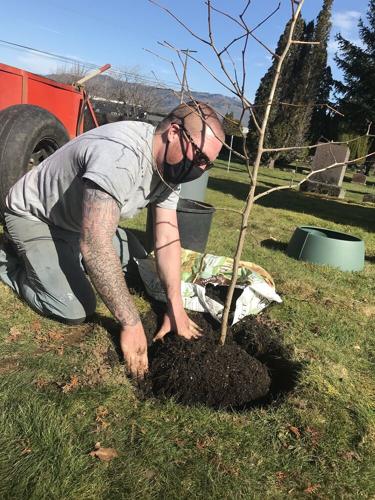 Peace trees Tyler Roth