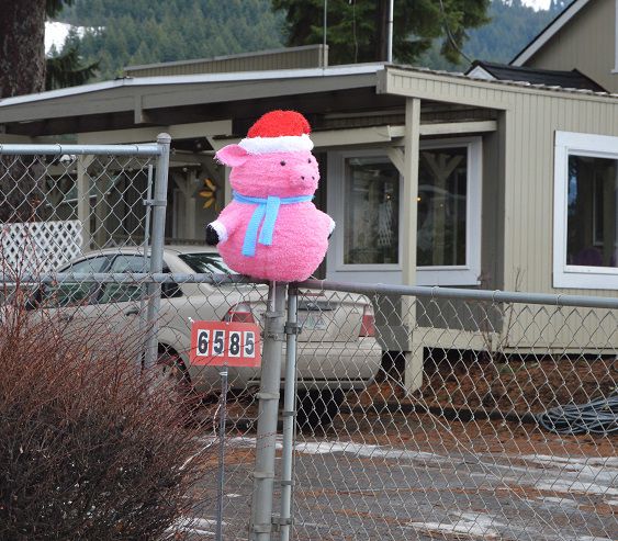 KAL season of light (6).JPG