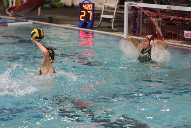A7 girls water polo summerfield.jpg