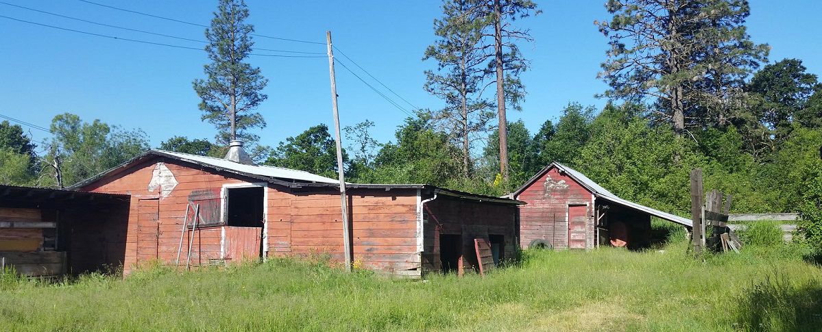 Another Voice: Preserve our agricultural heritage by making Tanner Ranch a park