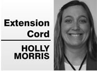 Extension cord: With so many choices, dip a toe in summer fun