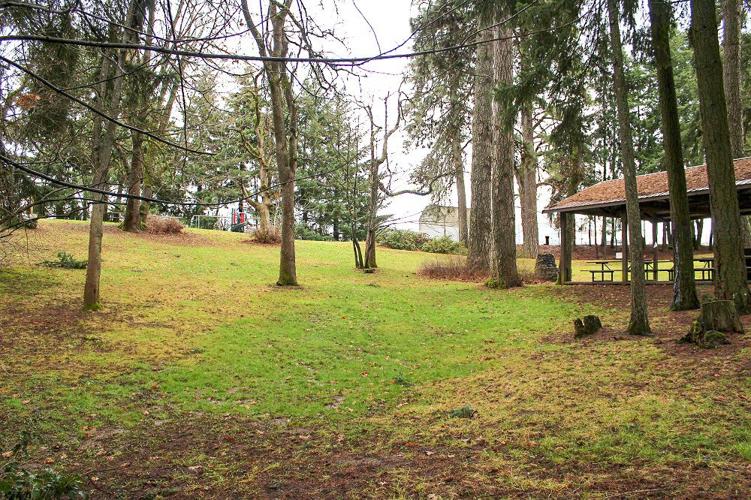 Kaleidoscope: Saving Oak Grove Park