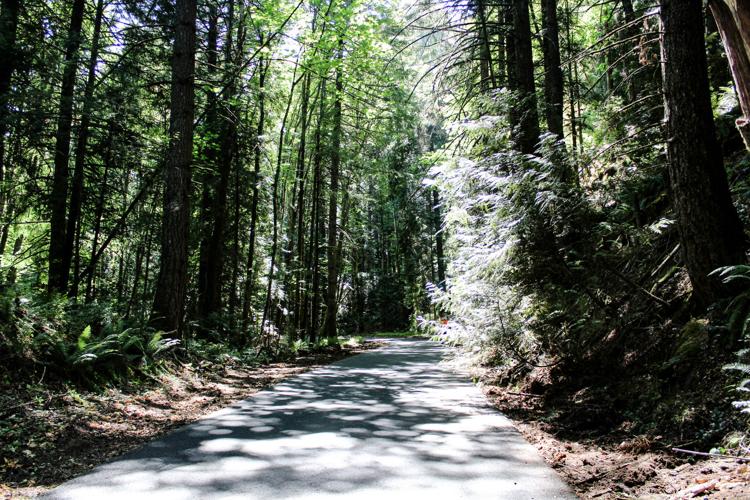 A2 historic trail 2.jpg
