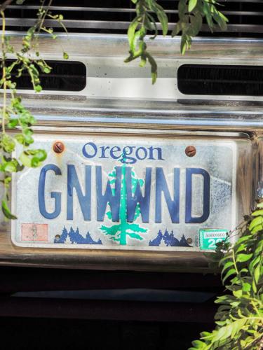 Surf wagons and SKSK