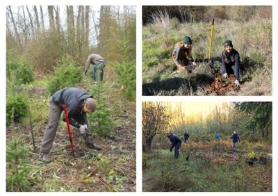 Indian Creek Trail work party Nov. 19