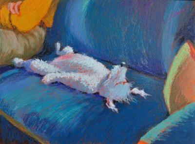 ‘It’s Raining Cats & Dogs’ in interactive exhibit