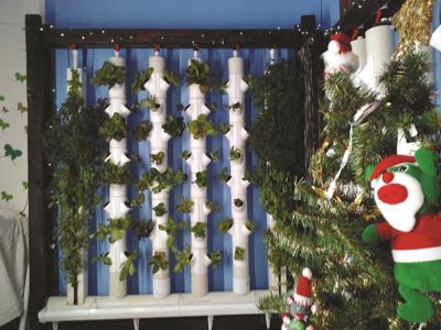 WGAP Tries Hand At Vertical Farming