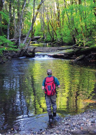 Photo of the Day for September 11, 2012