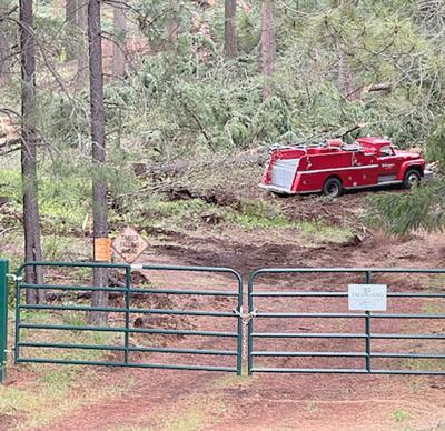 Little Mountain update ONE PIC