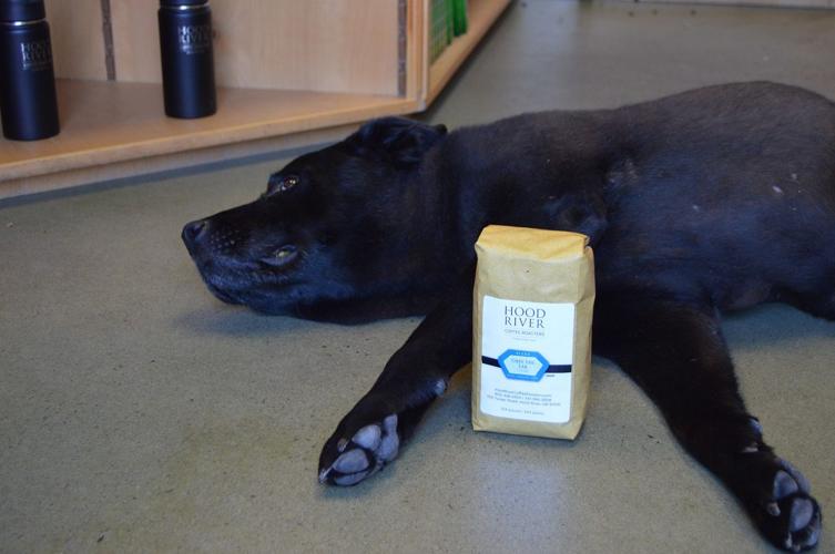 Going to the dogs: Hood River’s dog-friendly vibe doesn’t end at the office