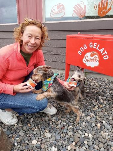 Neighbors Henry and Zachary are regulars at Swell Gelato for dogs_.jpg
