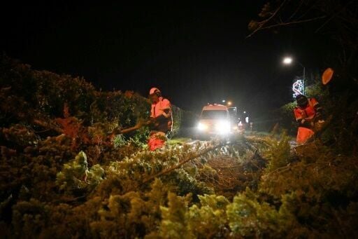Wind gusts felled trees in several regions in France