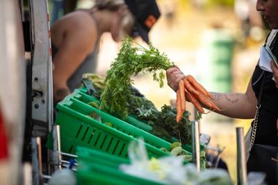 Carrots online brief only.jpg