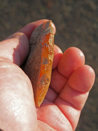 Oregon dig uncovers ancient tool