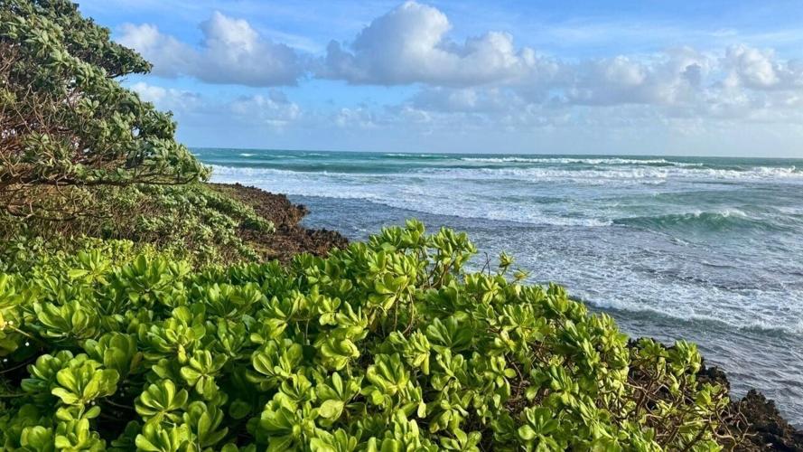North Shore, Oahu