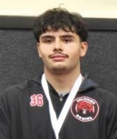 Four Bruins qualify for wrestling state in Tacoma