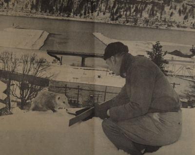 B2 yesteryears Feb 6 1949.JPG