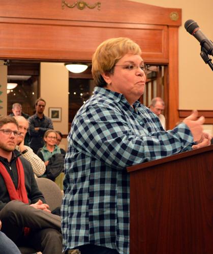 Morrison Park rezone hearing draws crowd