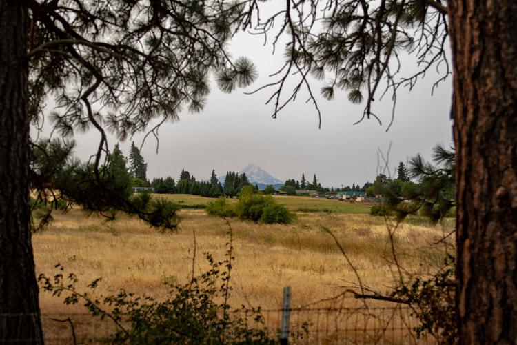 MTHood.jpg