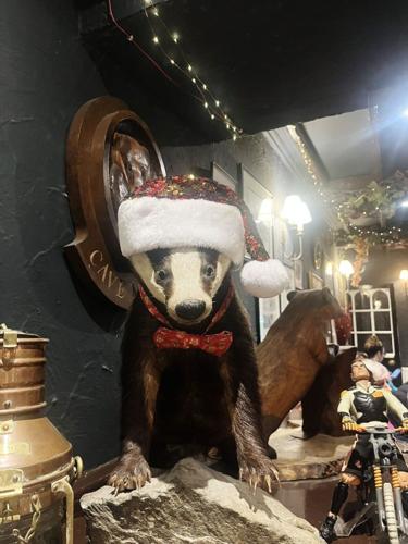 Police are investigating the theft of a stuffed badger from a Lake District bar.