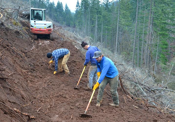 Kleeway trail coming along nicely