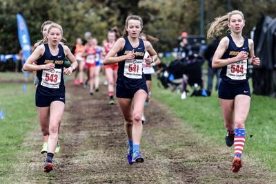 HRV girls XC places second at state; boys sixth