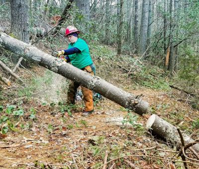 Career training for veterans returns to Gifford Pinchot