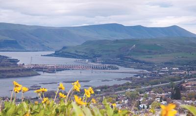 View of The Dalles