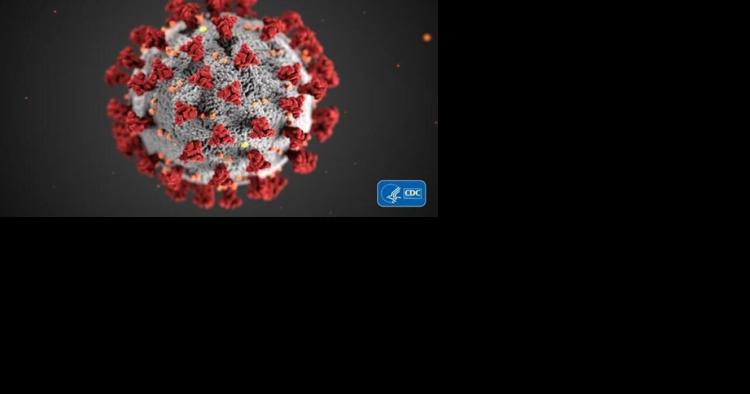 Local doctors recommend flu, COVID vaccines - Vimarsana News