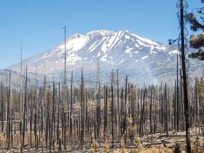 Mount Adams