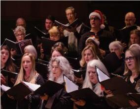 Voci concert