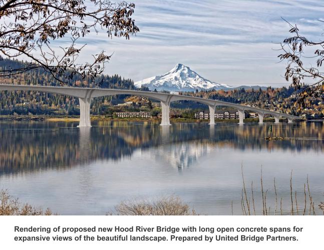 Private company floats bridge replacement plan