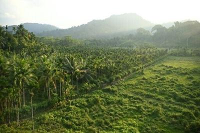 Indian opposition leader slammed a proposed $9 billion Nicobar megaport plan as 'destruction'