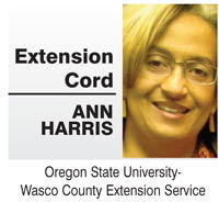 Extension cord: Read to stop the summer slide