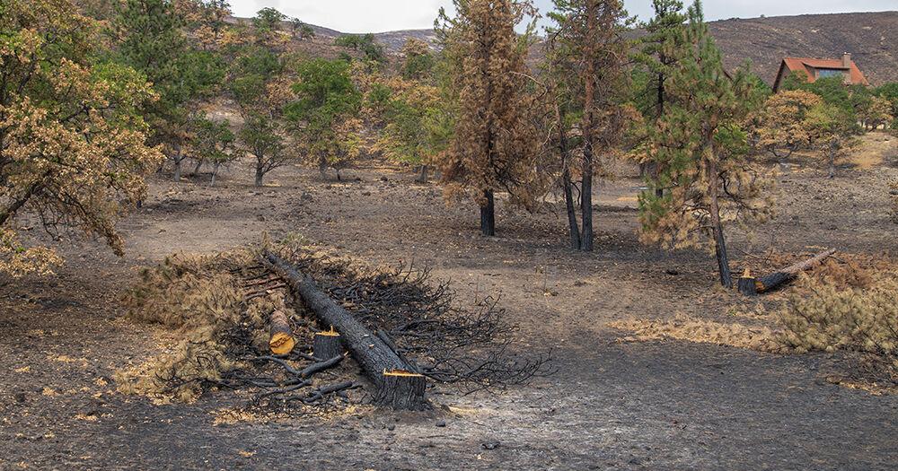 Gorge counties issue burn bans